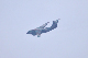 image0913