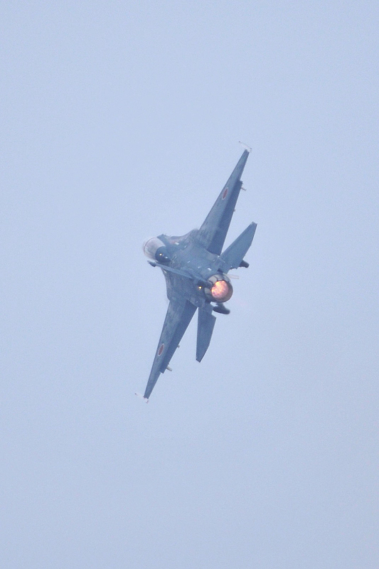 image0113
