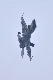 image0126