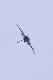 image0183
