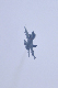 image0195