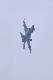 image0196