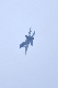 image0210