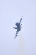 image0215