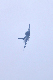 image0236