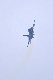 image0238