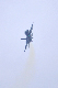 image0239