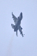 image0245