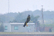 image0396