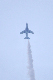 image0499