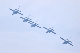 image0594