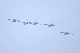 image0596