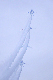 image0677