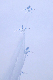 image0678