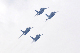 image0742