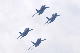 image0744