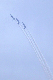 image0806