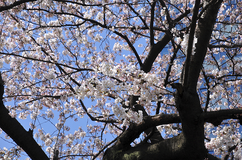 image0065