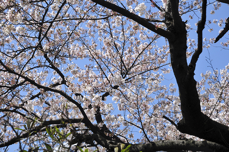 image0066