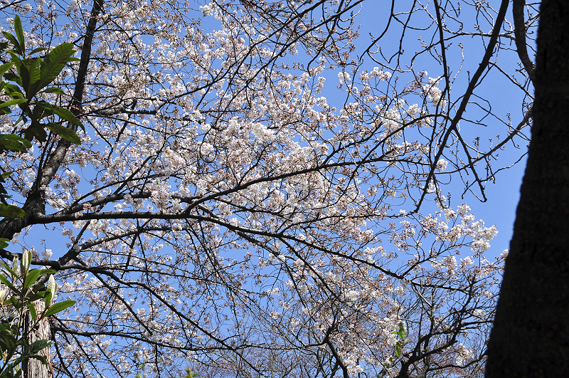image0073