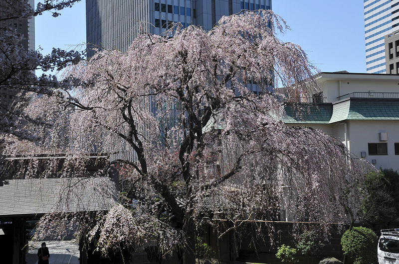 image0090