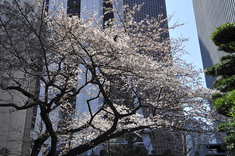image0095
