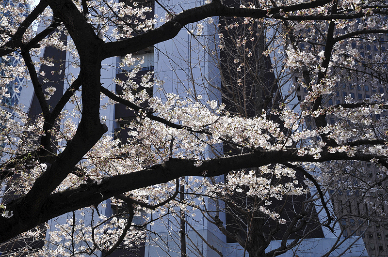 image0096