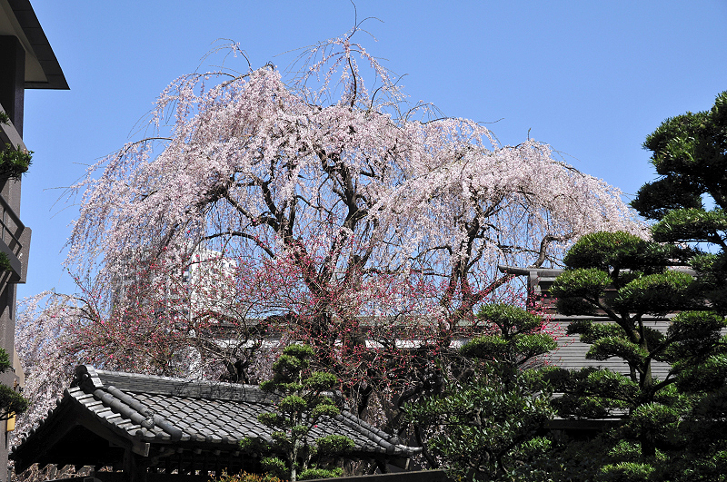 image0102