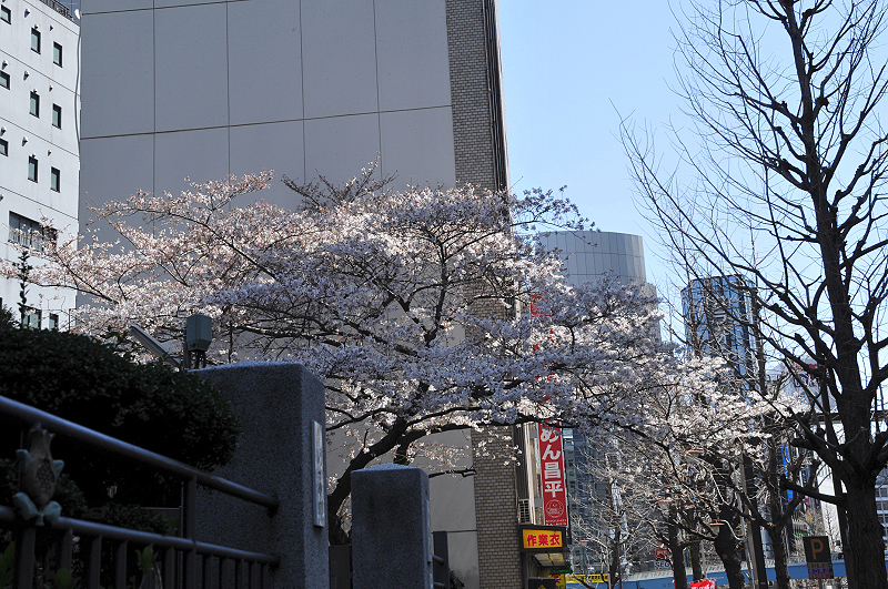 image0104