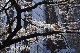 image0096