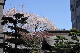 image0103