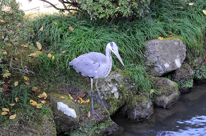 image0107