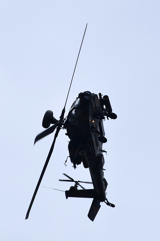 image0290