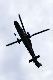 image0194