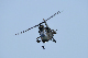 image0233