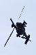 image0291