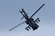 image0415