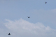 image0449