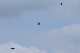 image0450