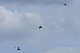 image0451