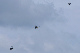 image0452