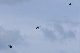 image0453