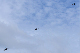 image0454
