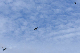 image0455