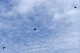 image0456