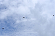image0457