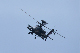 image0477
