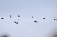 image0101