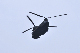 image0179