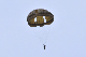 image0196